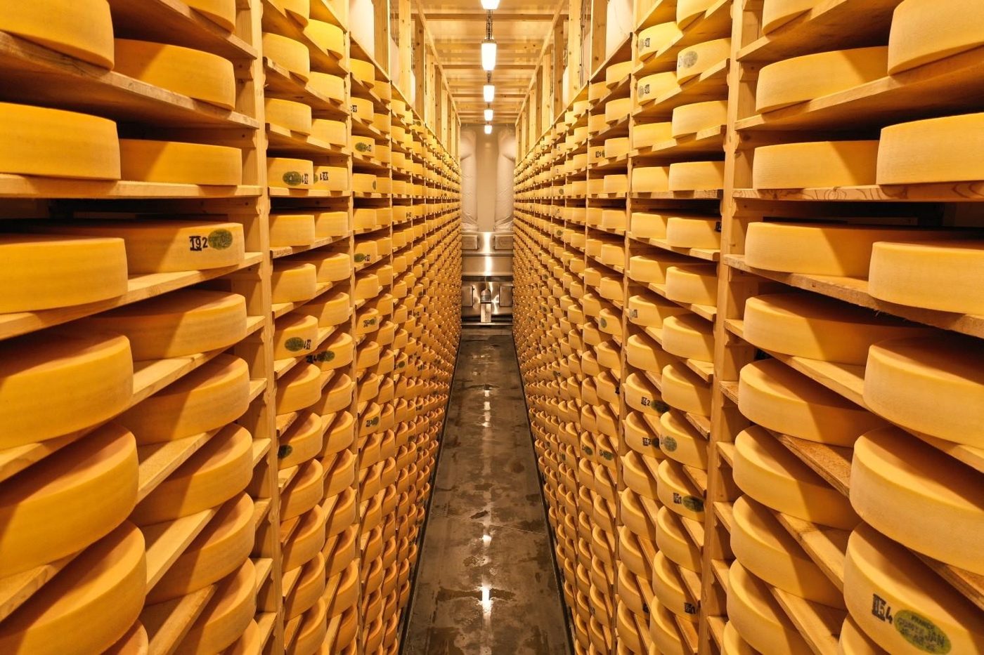 Cave d'affinage, rangées de meules de Comté